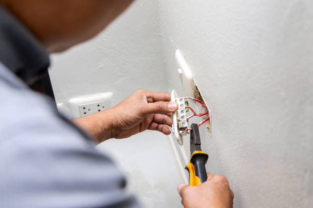 Best 24-Hour Electrician  in Spring Arbor, MI